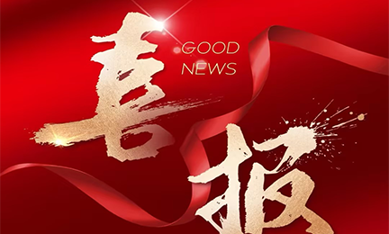 喜报丨完美世界电竞官方网站入选2024粤港澳大湾区企业创新力榜单
